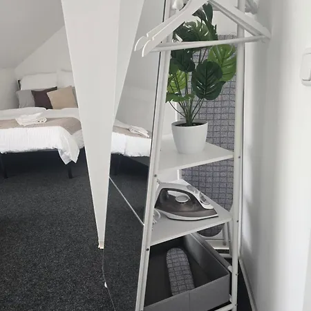 Large With 5 Bedrooms Near Munich